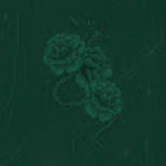 Meet your Posher, Suraiya - Picture 1 of 1